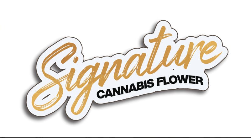 Signature | Mega Mind | Flower