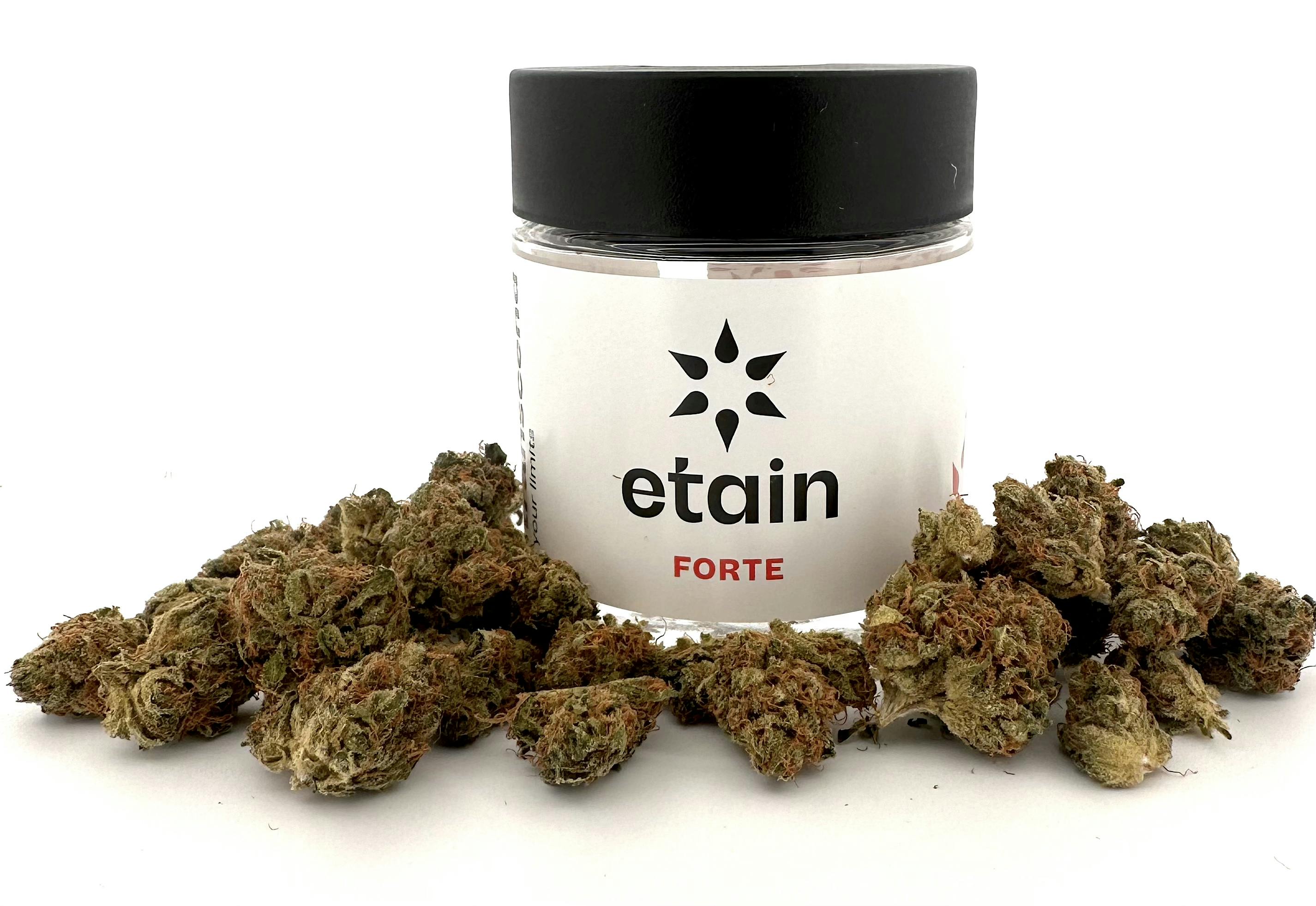 Forte 7g Smalls - Do Si Dos | Etain - Manhattan