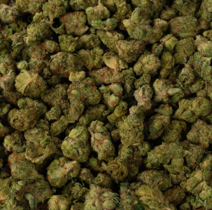 Exotic Genetix EXOTIC GENETIX | SUPER GLUE | SMALLS | BULK | INDICA/HYBRID — FLOWER