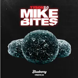 Tyson Mike Bites Blueberry
