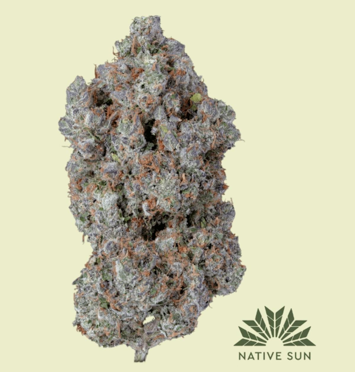 Photo of Next Level Flower Devil’s Lettuce