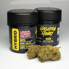 Hashtag Honey Flower | 3.5g | Lemon Cherry Gelato