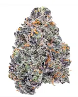 Product Rainbow Belts Buds