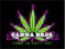 dispensary logo