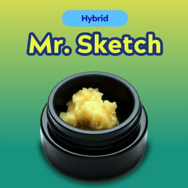 North Lake Supply Mr Sketch LResin Badder 1G