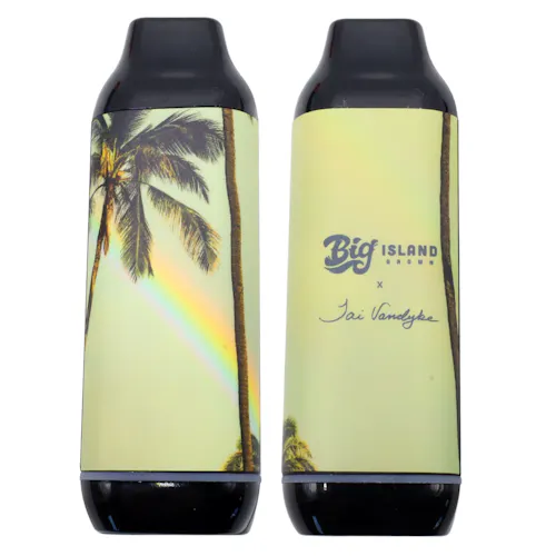 Ripped – BIG x Tai Vandyke Battery-5