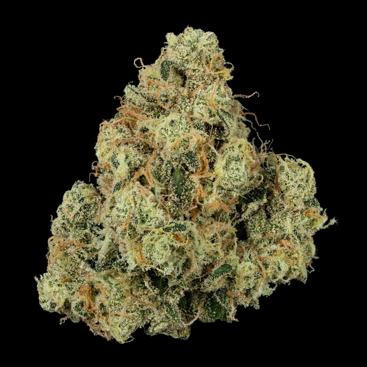 U4EA Farms | Mad Honey | Flower