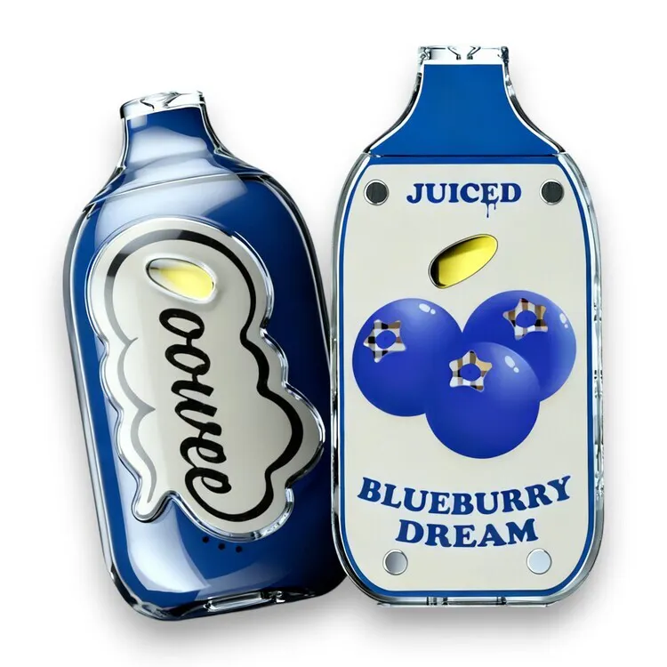Blueberry Dream Mini Disposable (Ooowee) | Kush 21 SODO