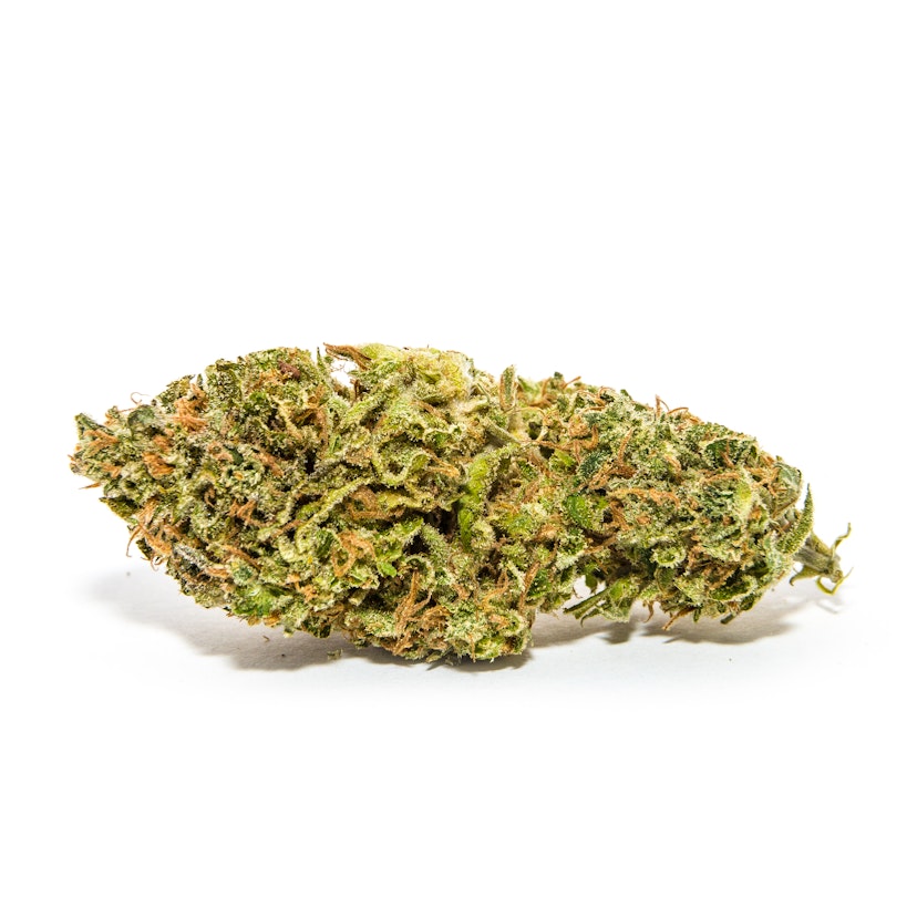 Jack Herer Flower: