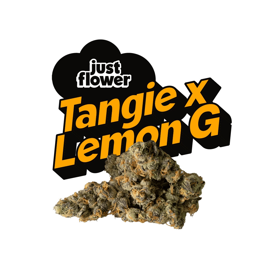 Tangie x Lemon G | 4g - Story Cannabis