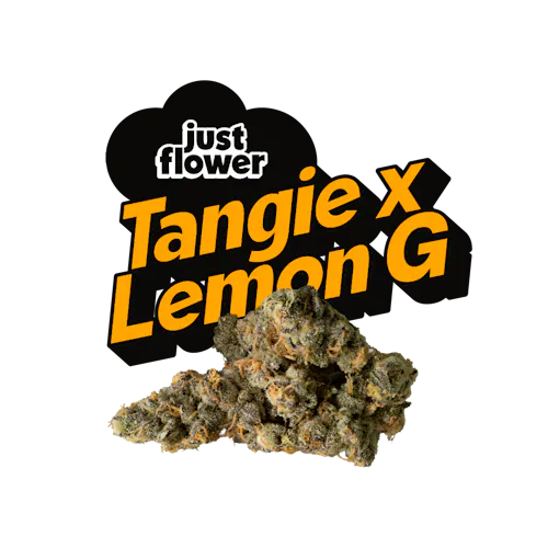 Tangie x Lemon G | 4g - Story Cannabis