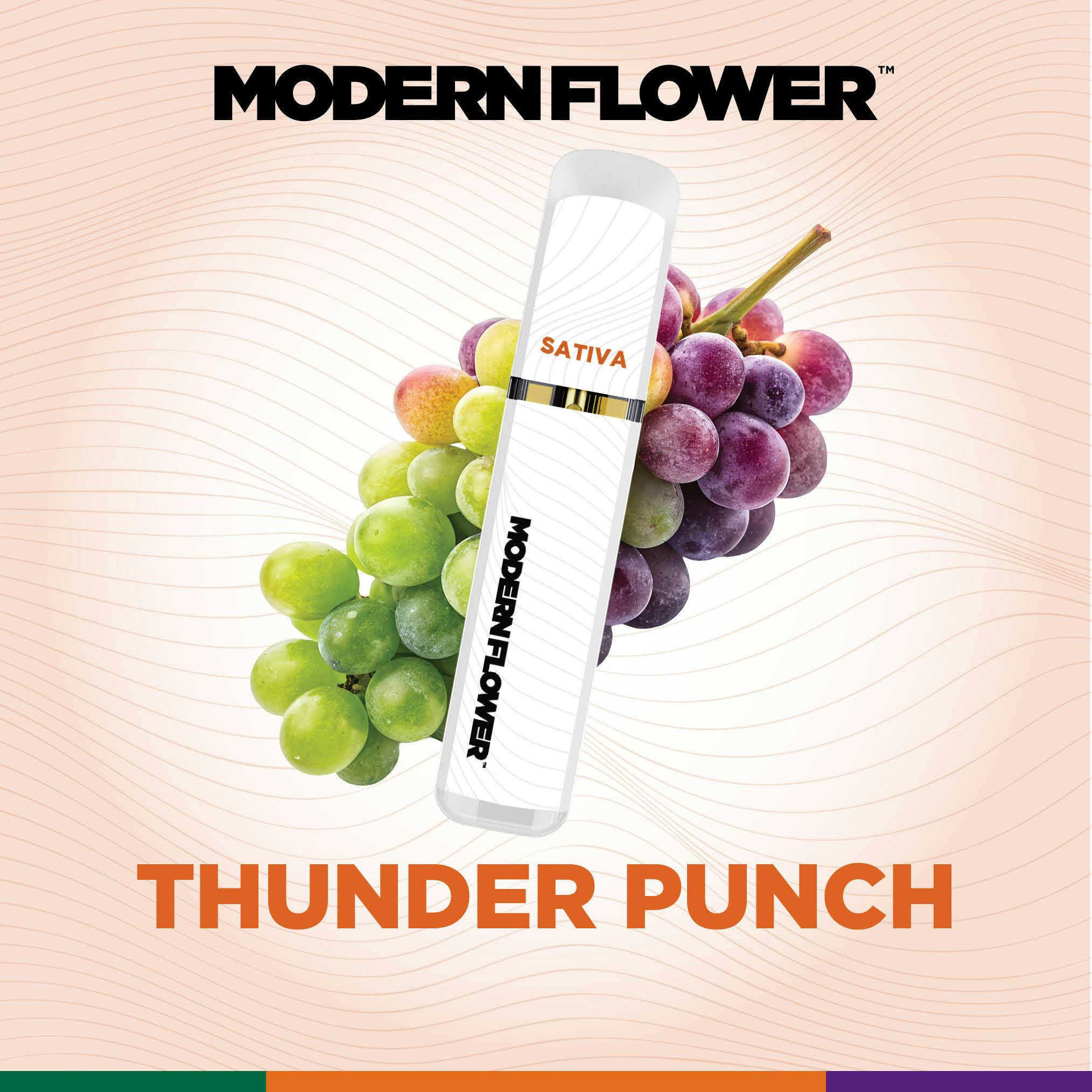 Thunderpunch Liquid Live Resin All In One