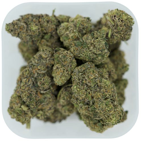 Product Image Alt