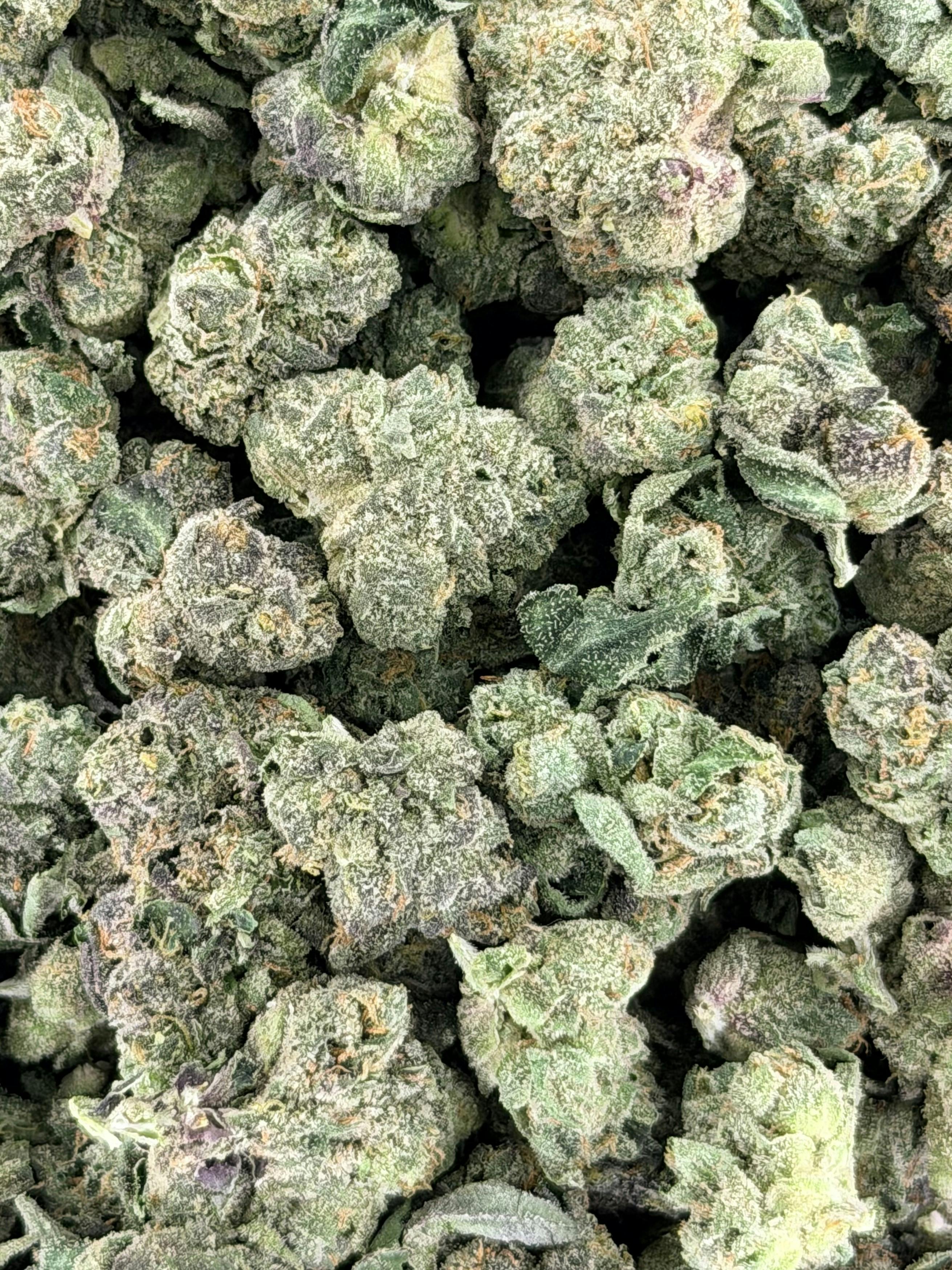 Rock N Rye | Deli Flower (Silver)