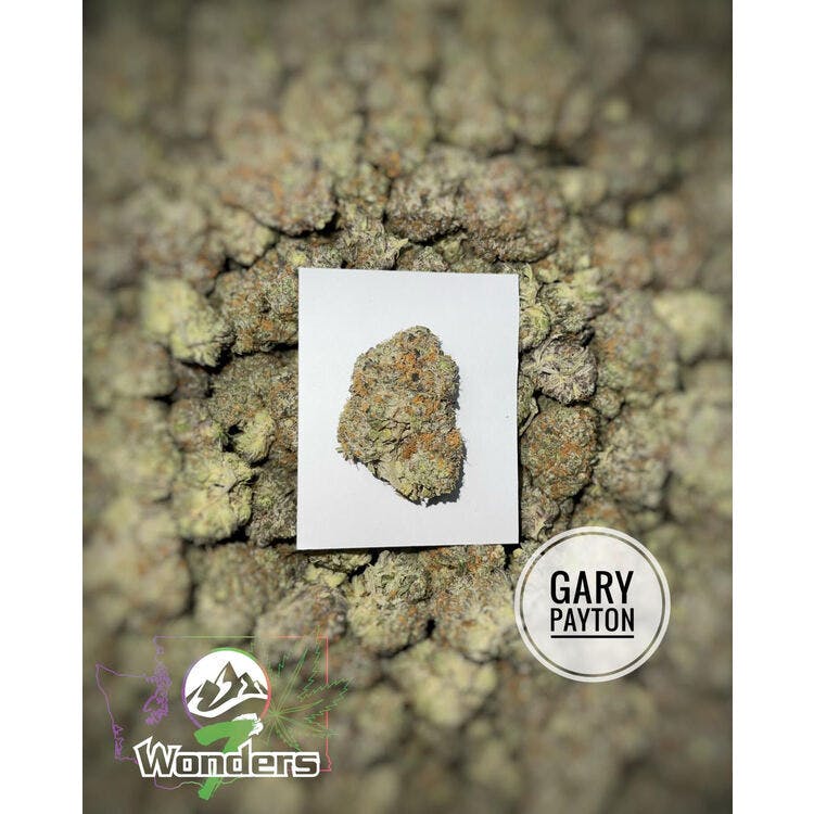 7 Wonders: Gary Payton