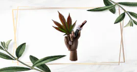 Vaporizers category image