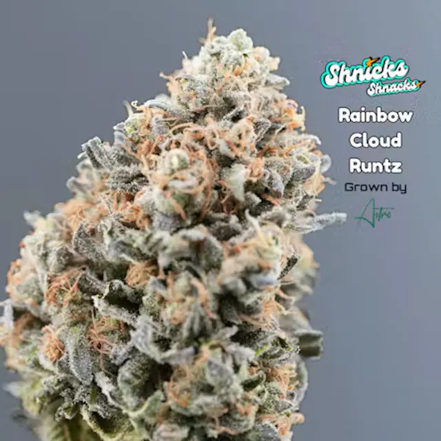 Shnicks Shnacks Flower Rainbow Cloud Runtz 3.5g (hybrid, whole flower)