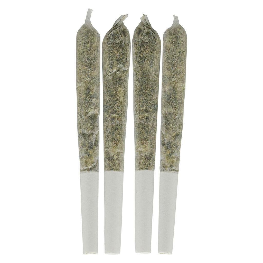 Tropical Pocket Puffs Pre-Roll | 4x0.5g | ERBN Green - Picton