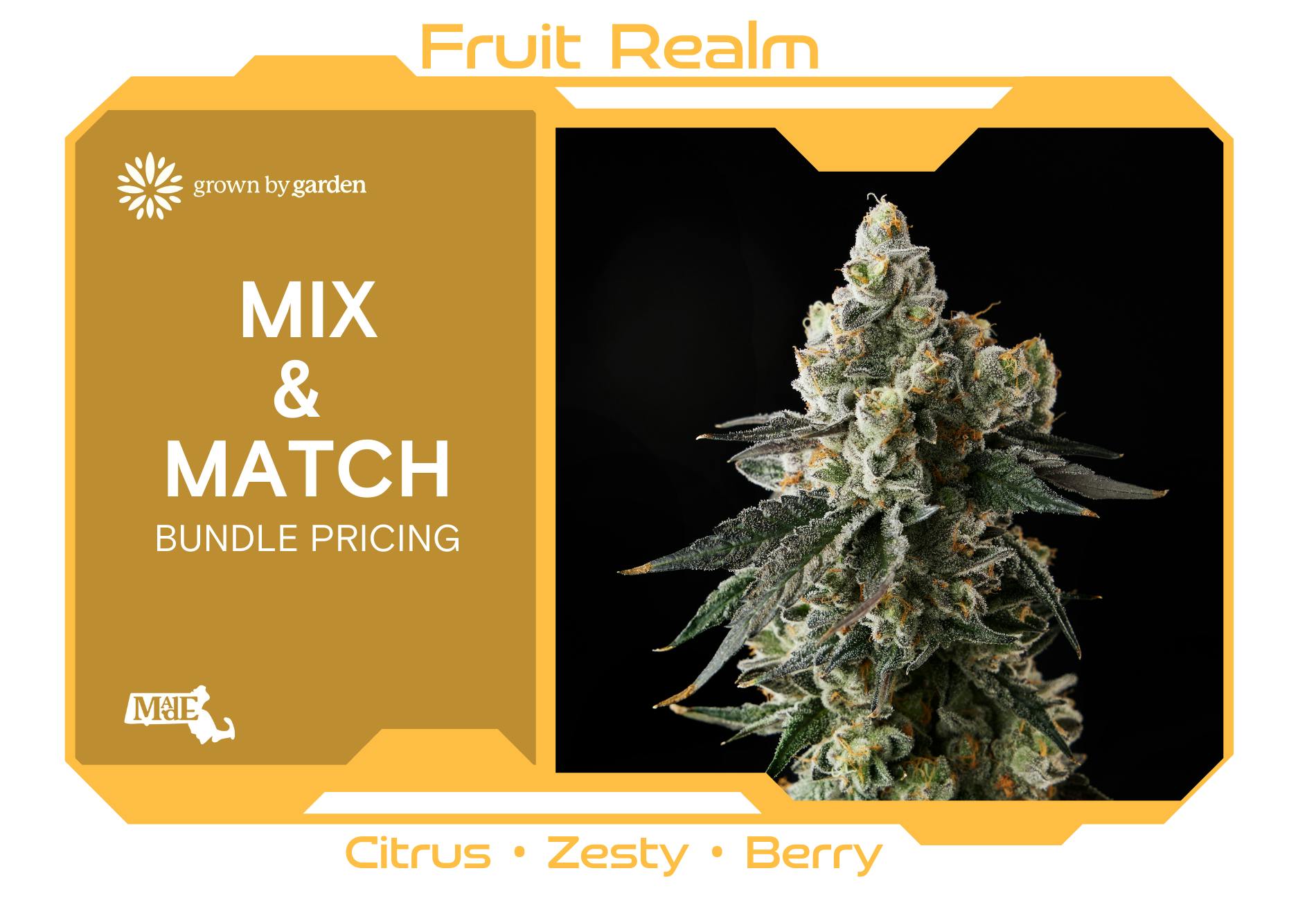 Juiceman | Fruit