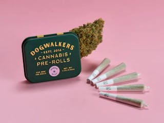 Gogurtz - 5pk Preroll 0.35g ea