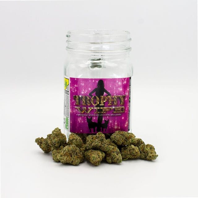 Our most popular indica-dominant hybrid, Trophy Wife is known to be ultra-potent, even among veteran consumers. It tastes skunky and sweet, with a smooth finish on the exhale. This is a common strain among users seeking relief from pain, anxiety, and insomnia for its heavily sedating qualities and uplifting hazy mood-boost.