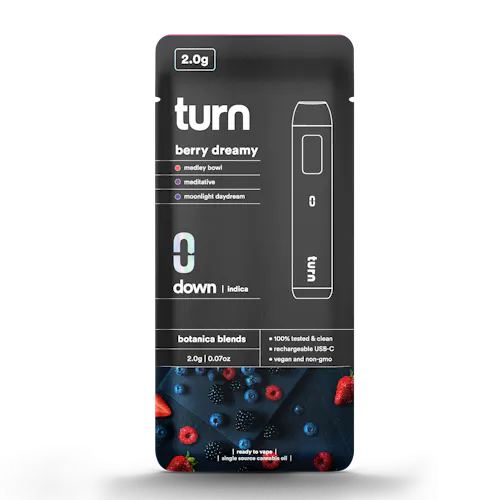 Berry Dreamy | Disposable | 2g-1