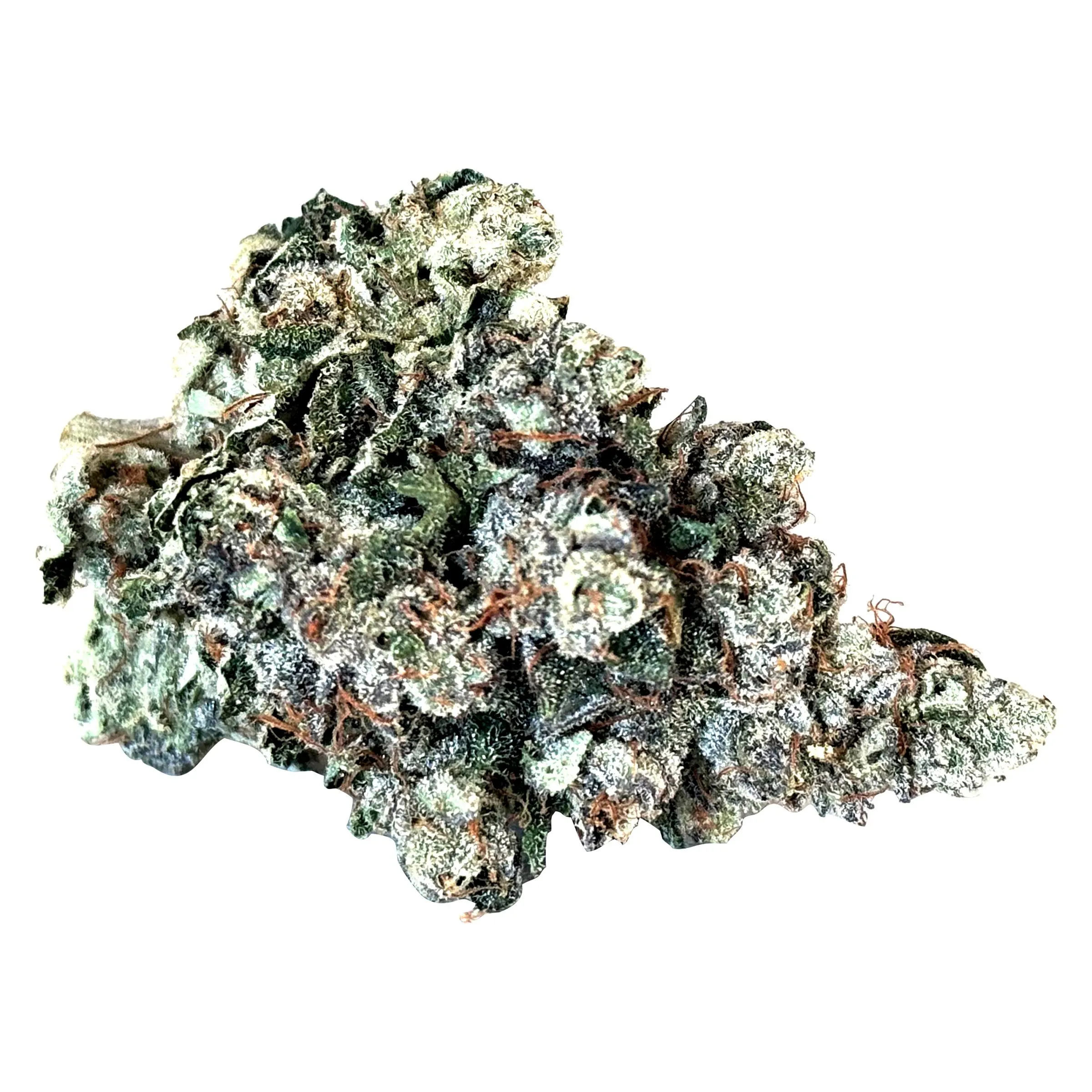 Bluebird Cannabis - Terry Fox