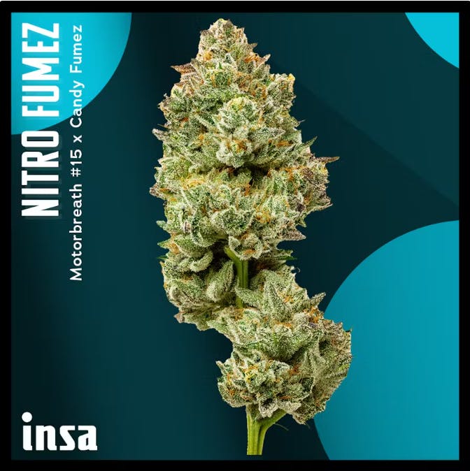 Product Nitro Fumez | Flower | 14g