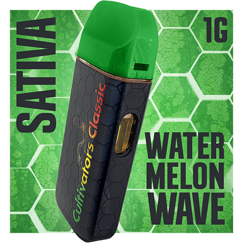 Product: Disposable [1g] | Watermelon Wave