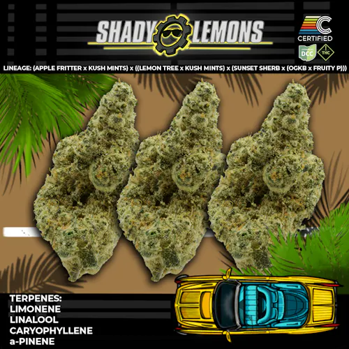 Certified Cultivators | Shady Lemon 2pk 0.5g Pre Roll (SSU)-active