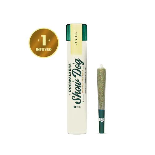 Dogwalkers Big Dog Play Frozen Margarita 1g Infused Pre-Roll-active