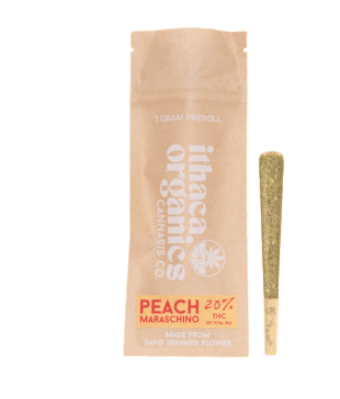 Peach Maraschino | Single