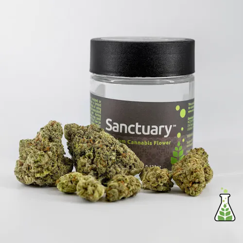 Margot | Flower | 3.5g-1