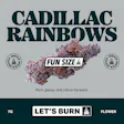 Let's Cadillac Rainbows Fun Size Budz