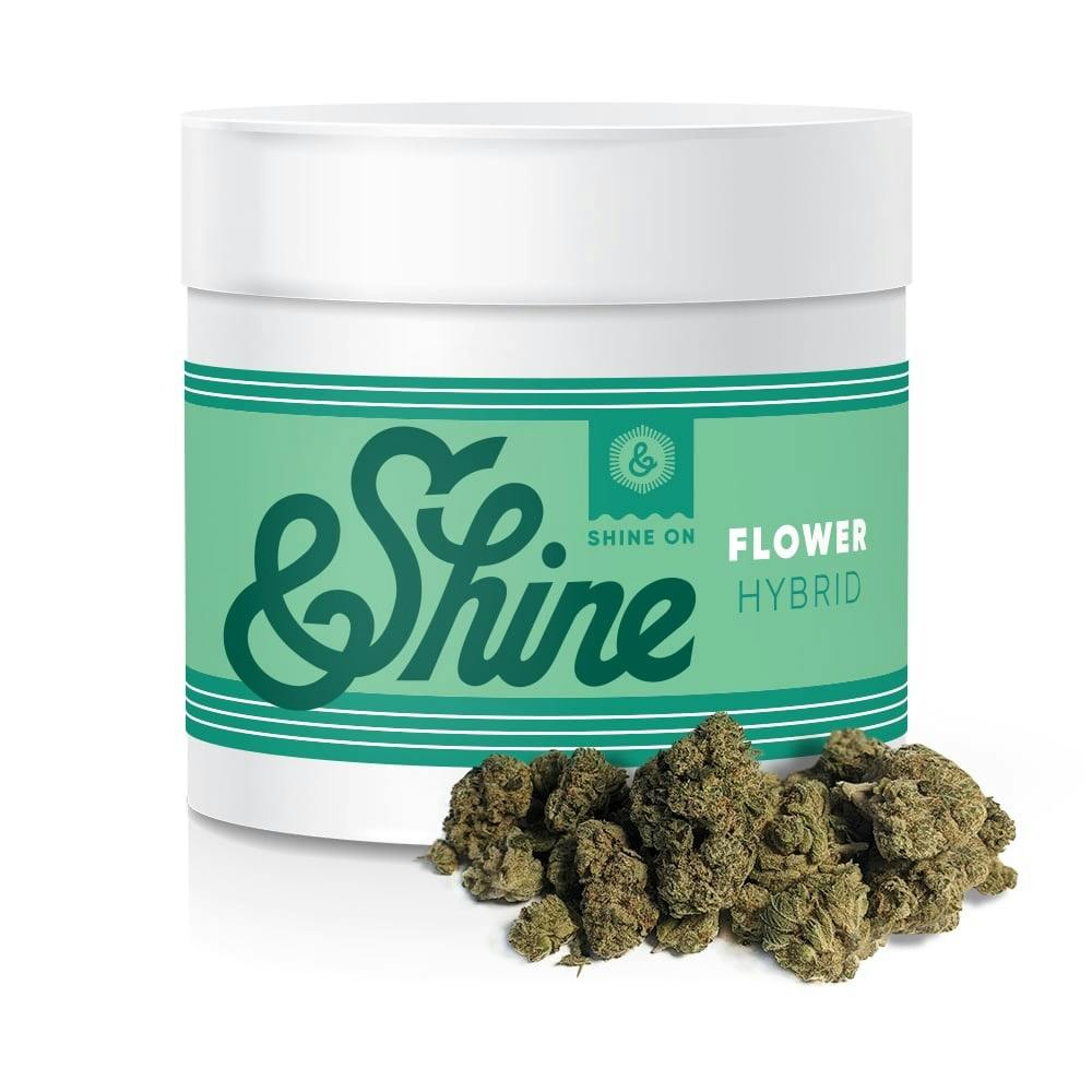 Shop &Shine Skywalker x Animal Sherb Mints in Hagerstown | DISTRICT