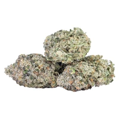Sixty Seven Sins Fishy Fingers Dried Flower (67 Sins) | Hello