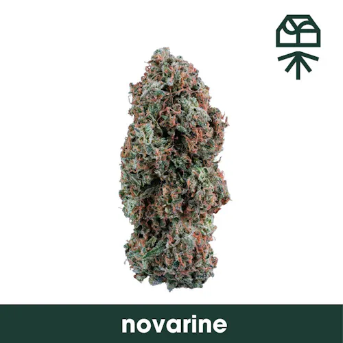 Grassroots | RSO Syringe | Novarine-2