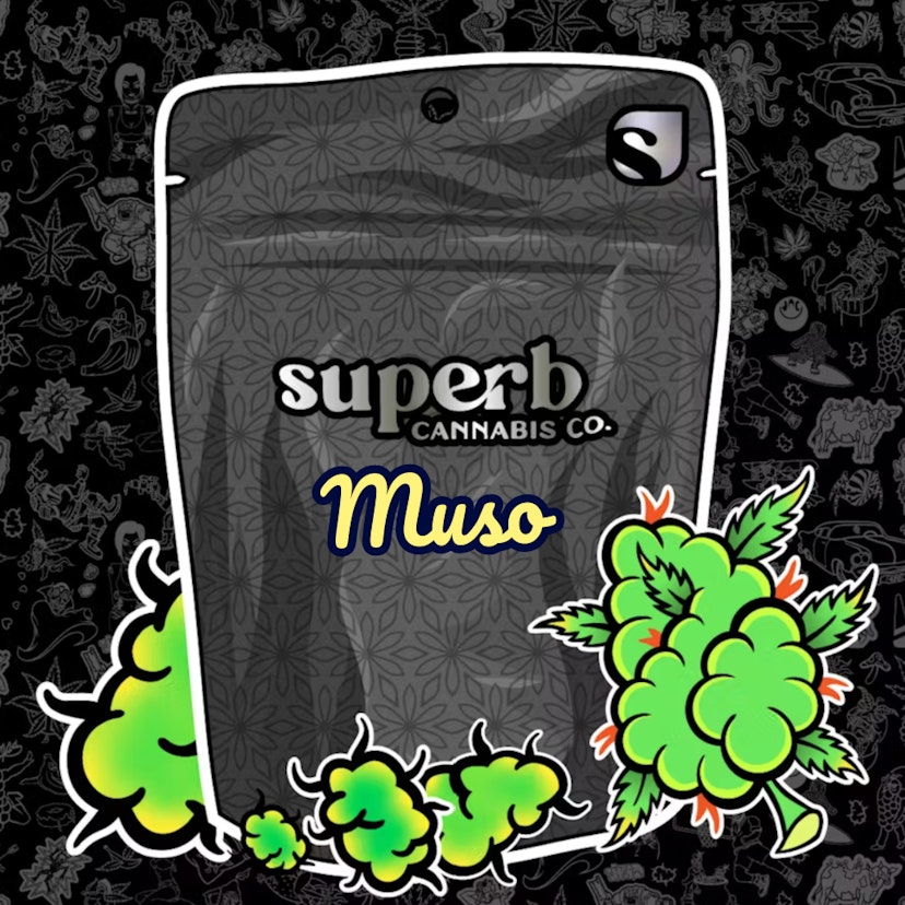 Superb | Muso