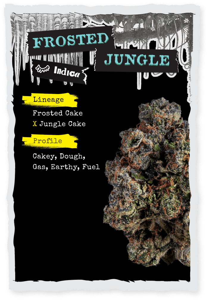 Strane | Bulk Bud - Frosted Jungle
