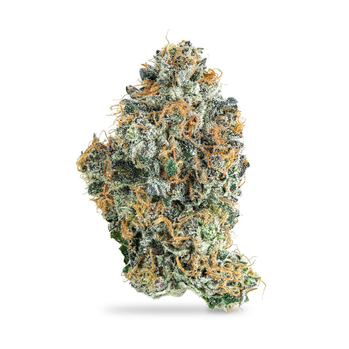Photo of Frost Factory – Black Maple #3