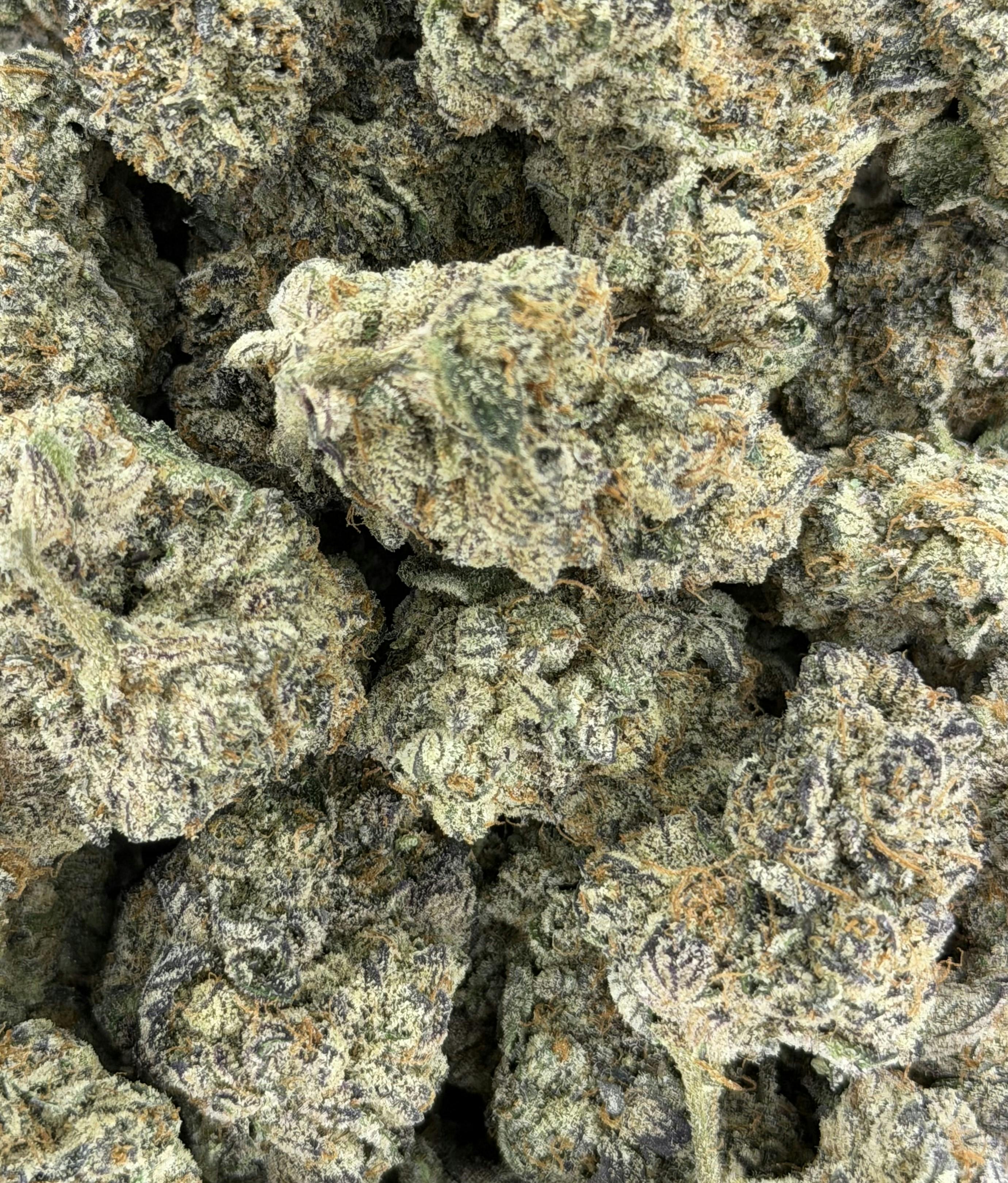 Key Lime Mintz | Deli Flower (Gold)