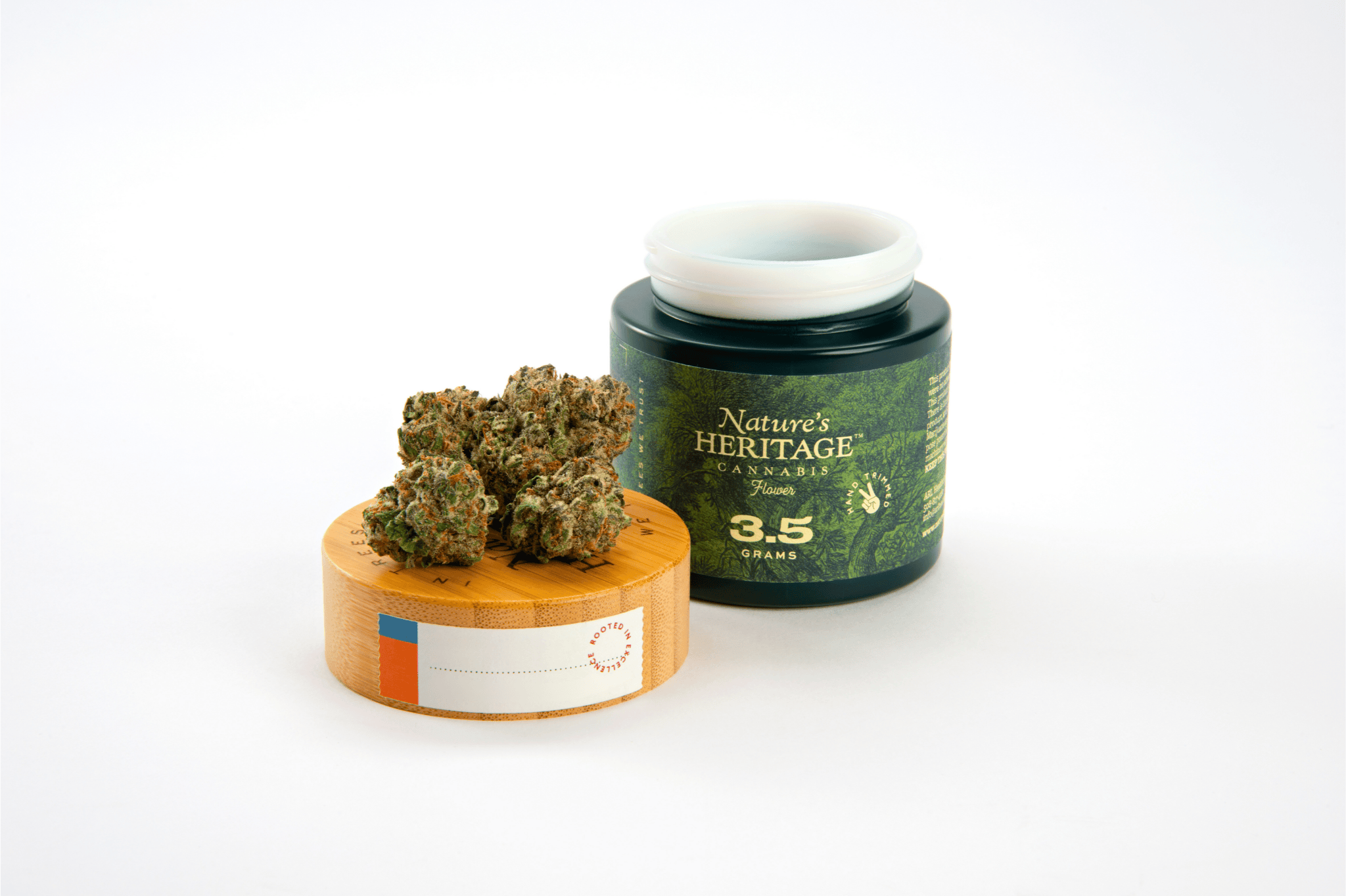 Product Governmint Oasis Buds