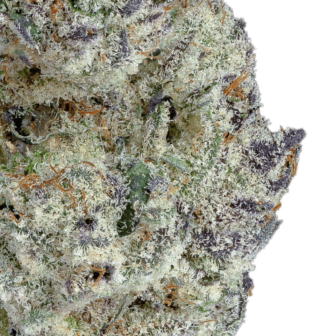 Native Sun Southie Sunset | Flower | 3.5g - Native Sun Cannabis