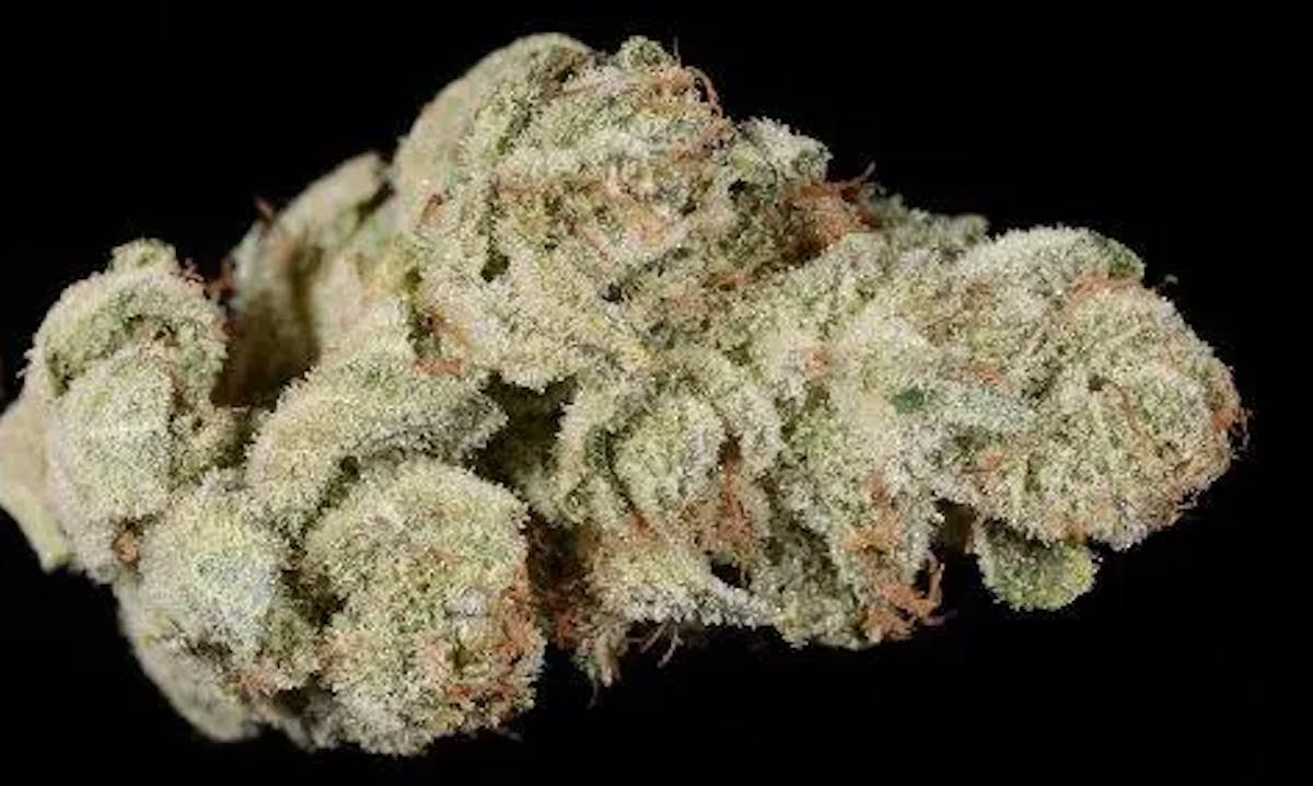 Photo of Gold Shelf – Gorilla Glue #4 (H)