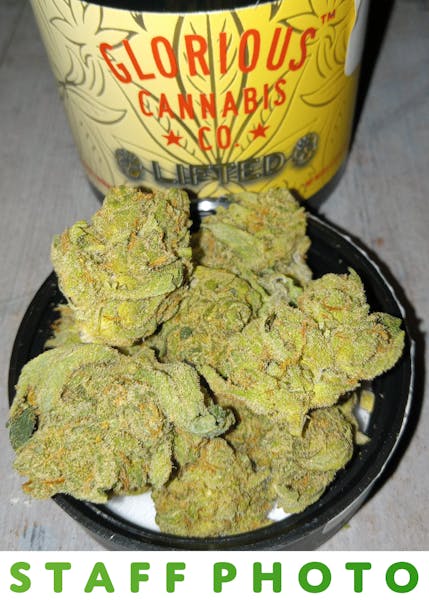 Super Silver Haze (S) - 3.5g - Glorious Cannabis