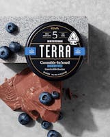 Product Blueberry Bites | Terra Chocolate 20pk