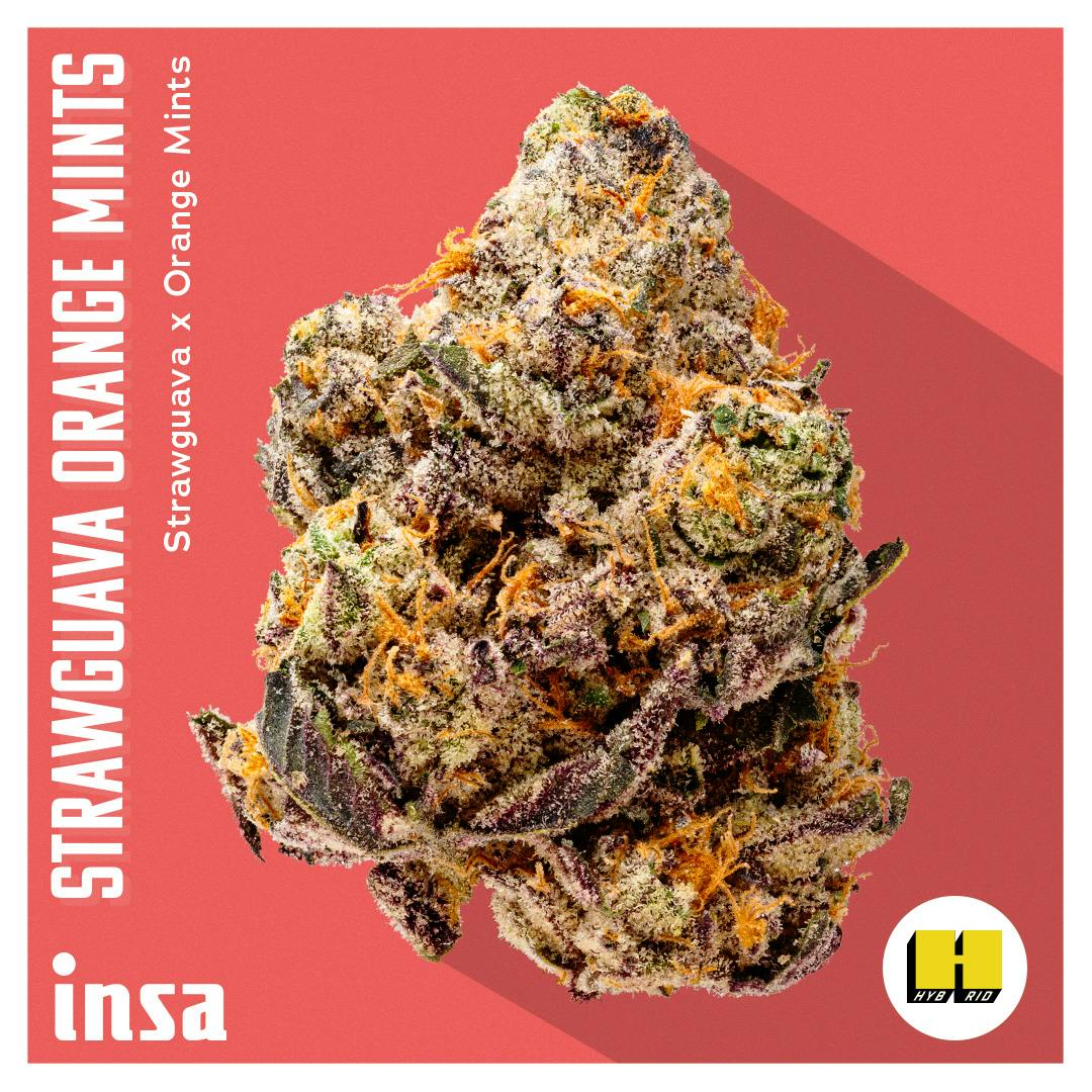 Flower - Strawguava Orange Mints
