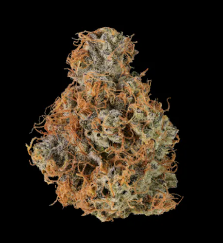 NEZ – Big Buns – 14g-1