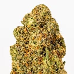 ALASKAN THUNDERFUCK-1