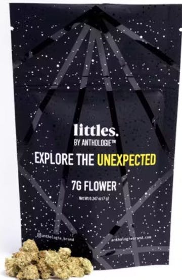 Anthologie Hash Burger